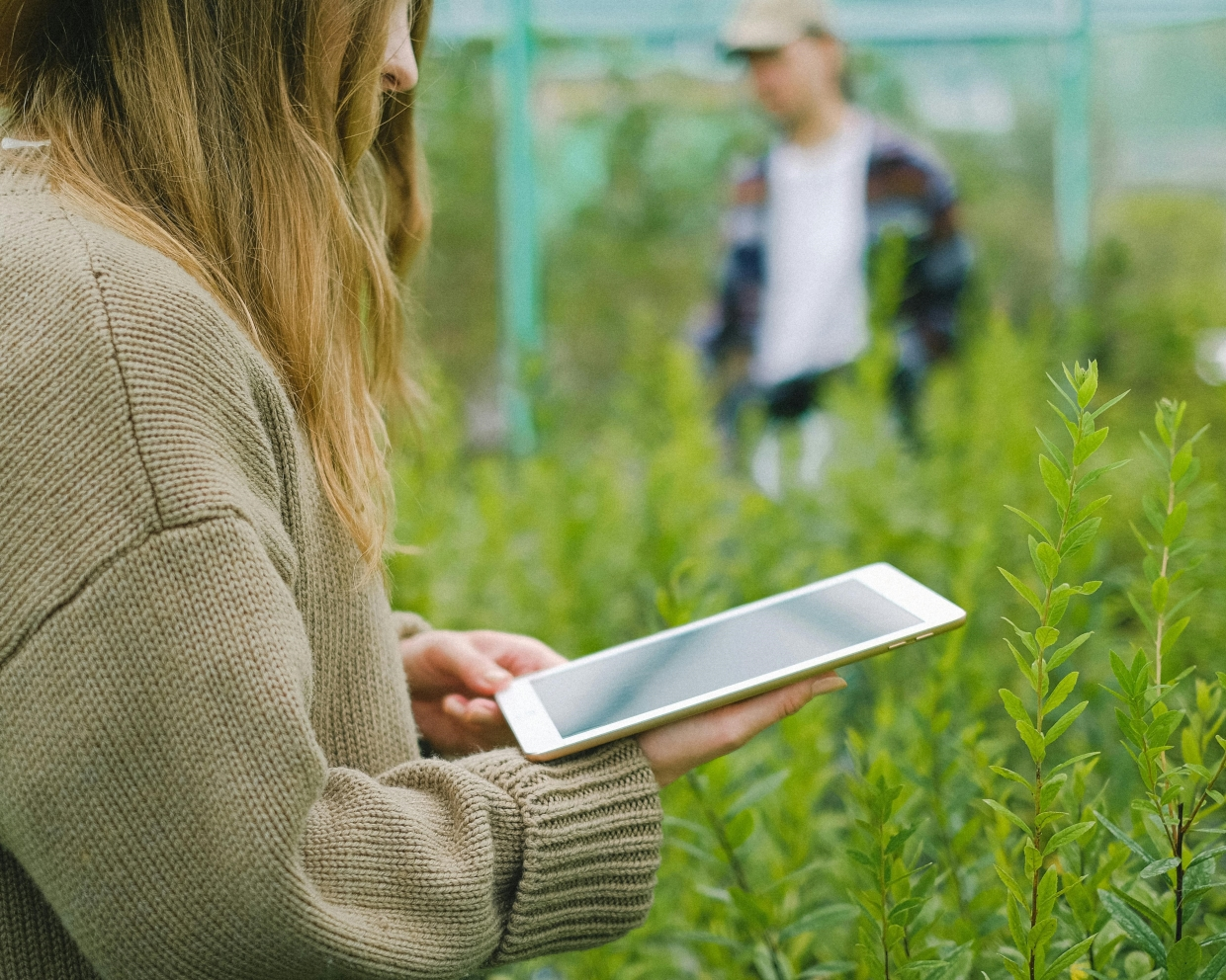 Consultoria Técnica