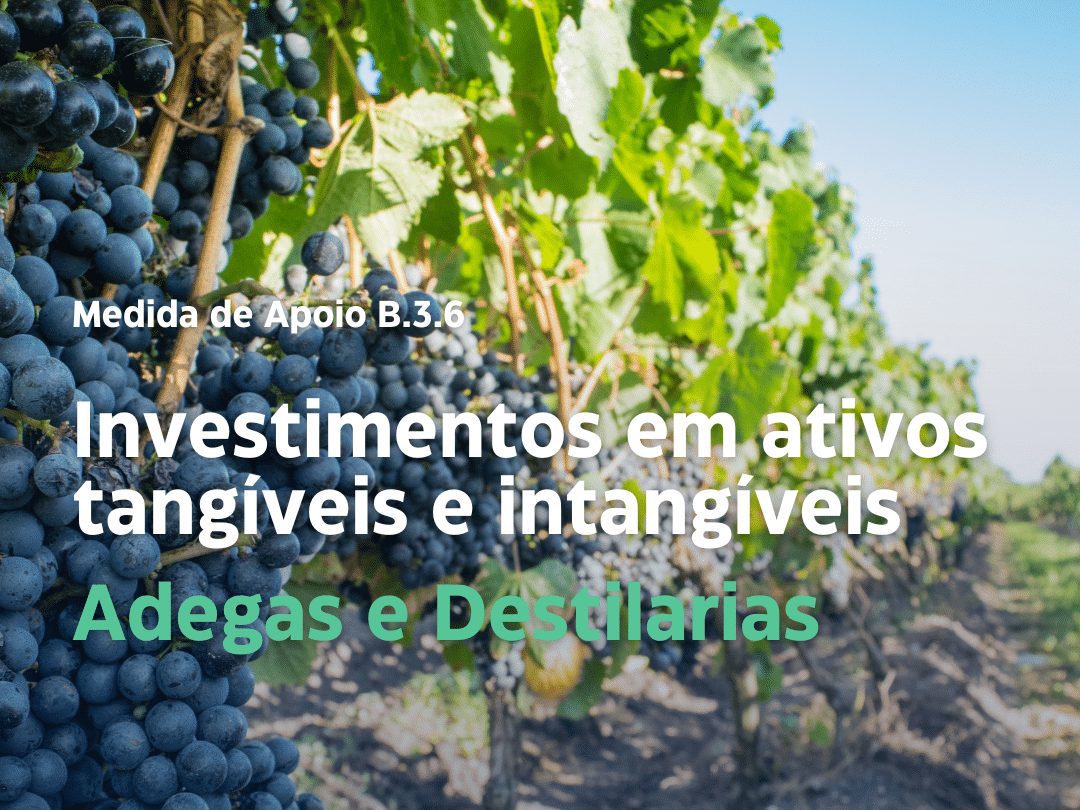 B.3.6 – Investimentos em ativos tangíveis e intangíveis | IVV